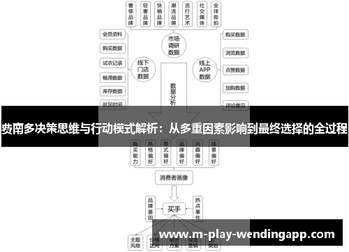 费南多决策思维与行动模式解析：从多重因素影响到最终选择的全过程