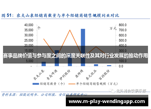 赛事品牌价值与参与度之间的深度关联性及其对行业发展的推动作用