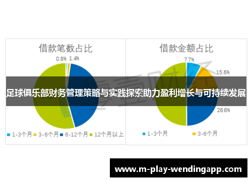 足球俱乐部财务管理策略与实践探索助力盈利增长与可持续发展