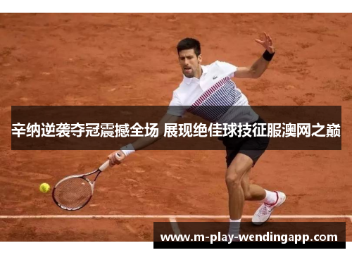 辛纳逆袭夺冠震撼全场 展现绝佳球技征服澳网之巅