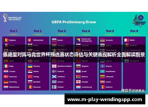 佩德里对阵马竞世界杯预选赛状态评估与关键表现解析全面解读前景